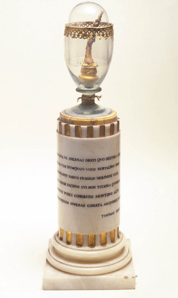 Dito medio della mano destra di Galileo (1737)ca 1737)