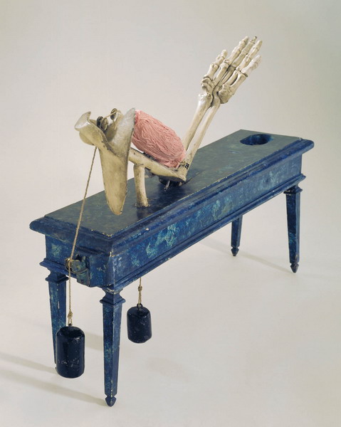 Modello di braccio umano come esempio di leva del terzo genere, per esperienze didattiche (seconda metà sec XVIII)